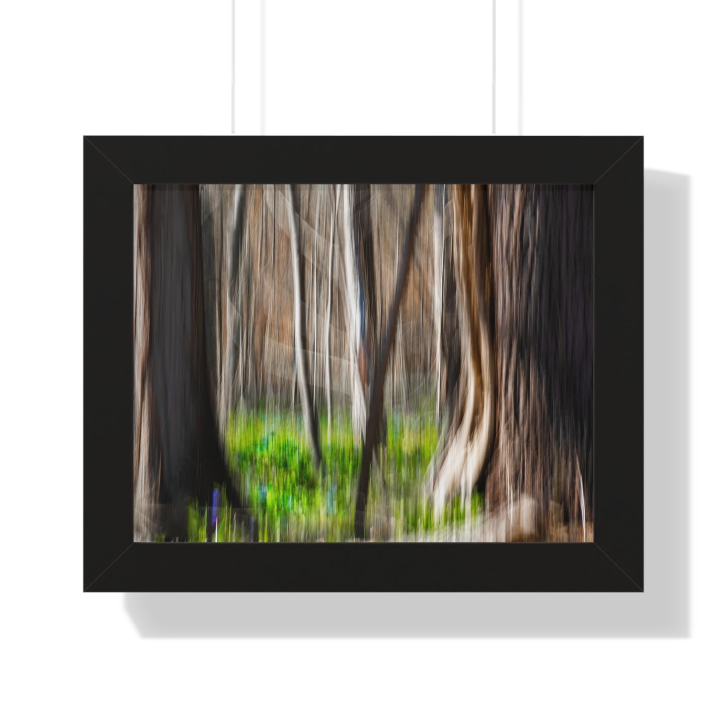 Abstract Photograph of Forest with Bluebells at Great Falls, Virginia