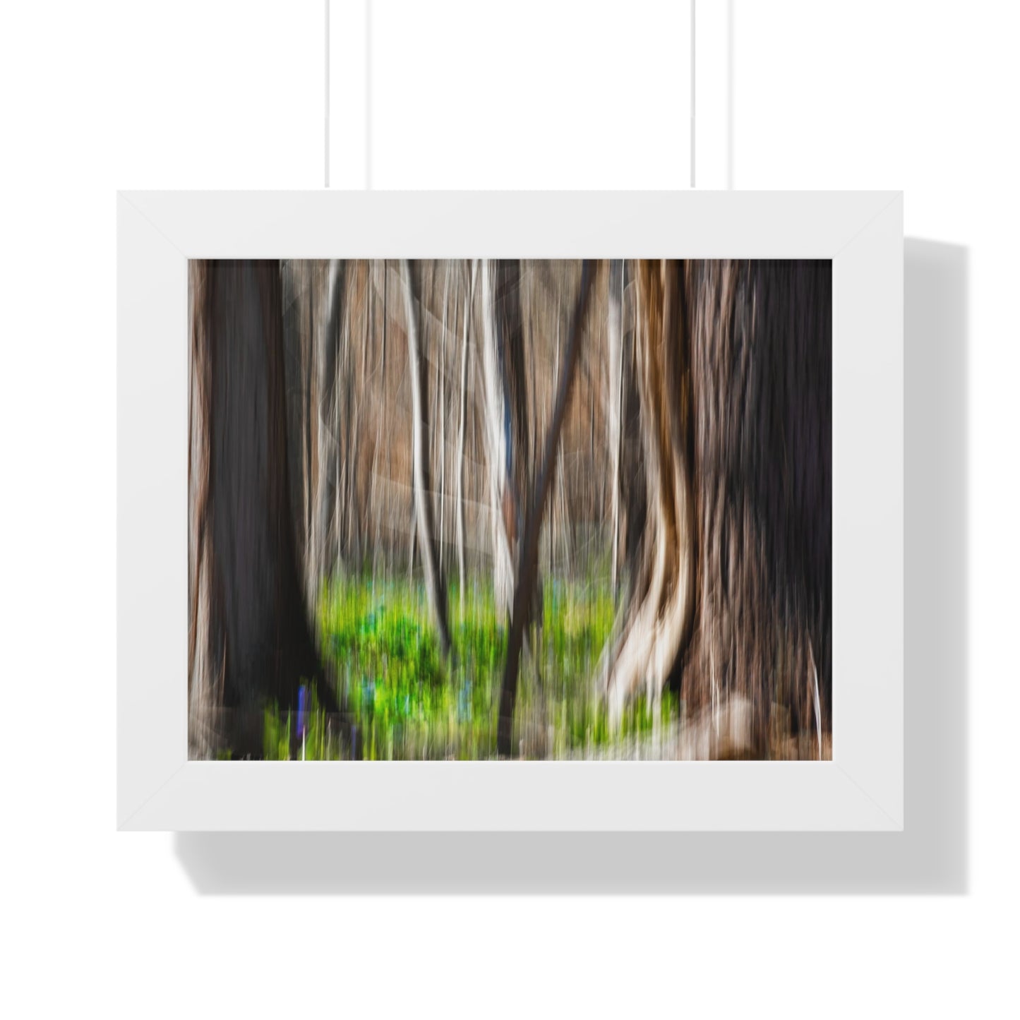 Abstract Photograph of Forest with Bluebells at Great Falls, Virginia