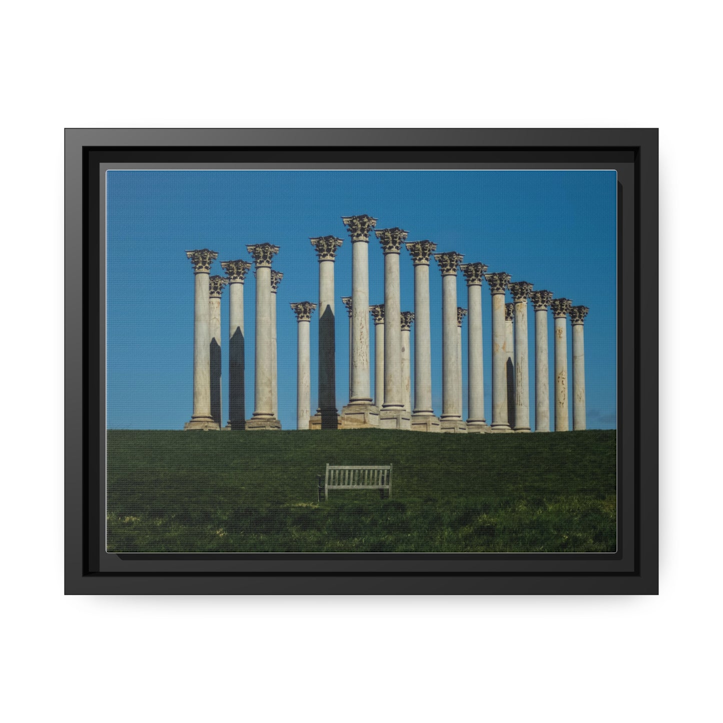 Capitol Columns  - Matte Canvas, Black Frame