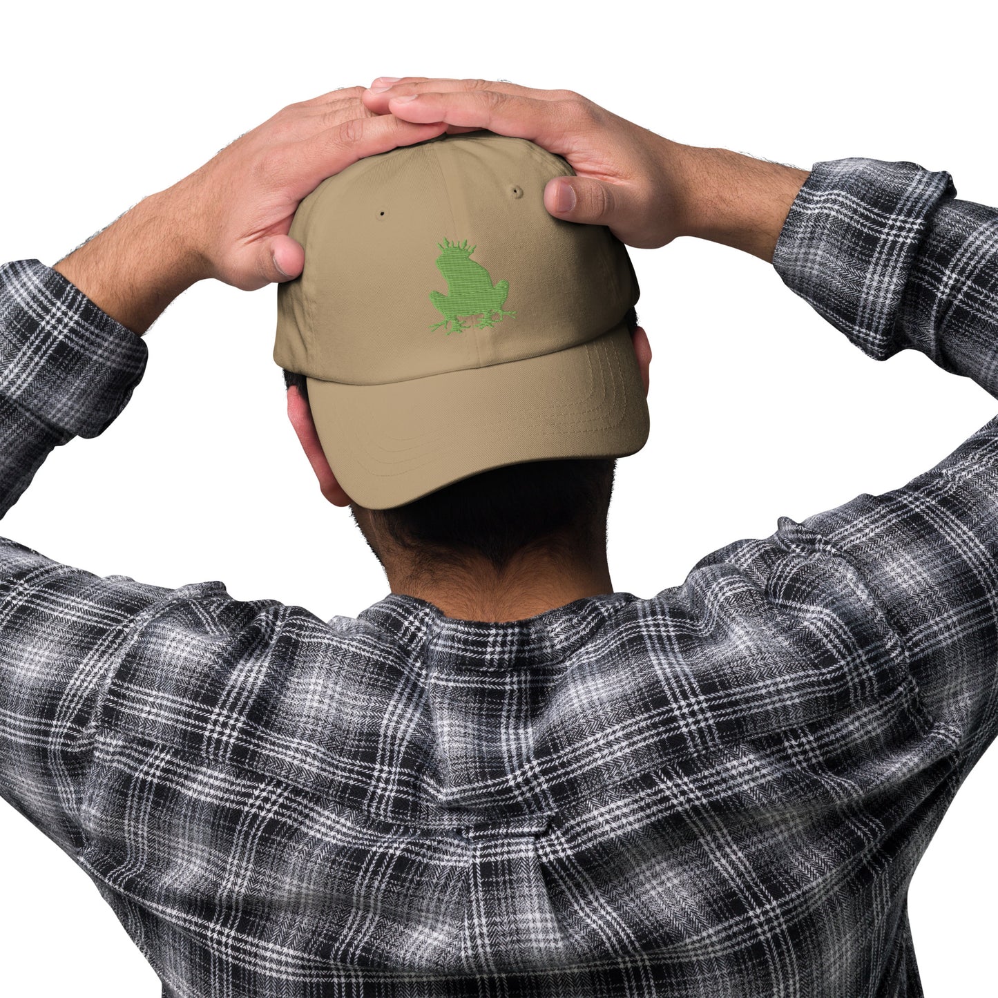 The Frog Prince - Dad hat